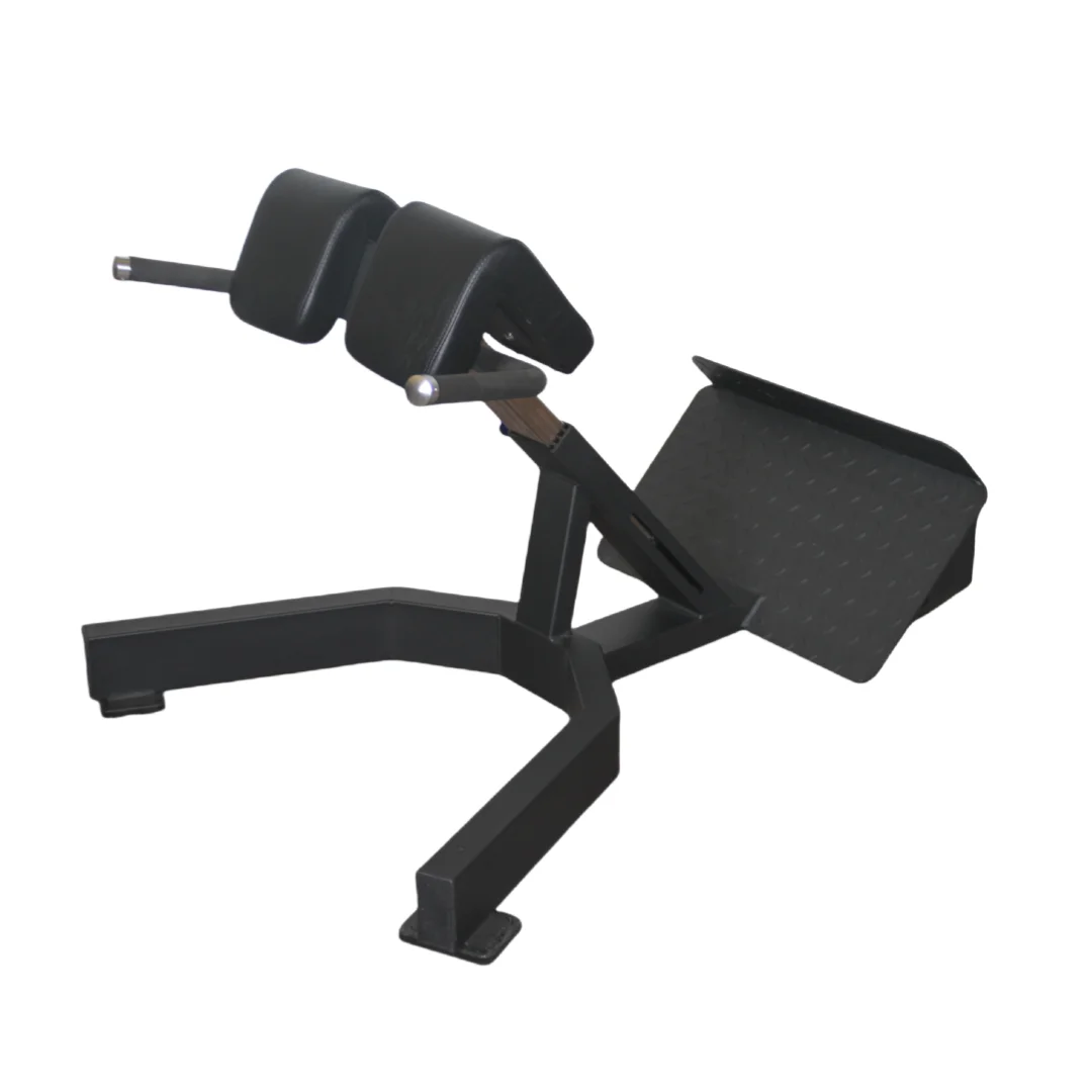 Home Gym Leg Extension Machine - Alat Latihan Punggung Roman Chair Harga