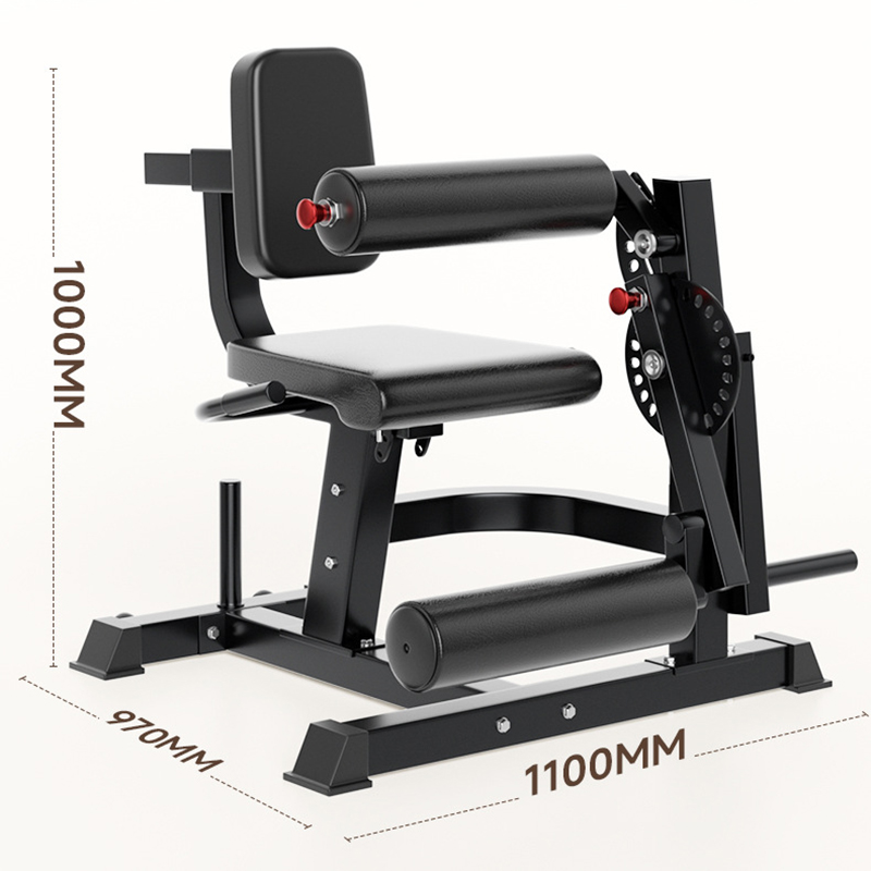 Bangku Latihan 6 Posisi yang D - Home Gym Leg Extension Machine ulasan dan harga