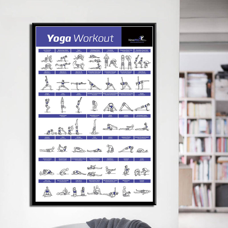Bagan latihan olahraga tubuh,  - Home Gym York ulasan dan harga