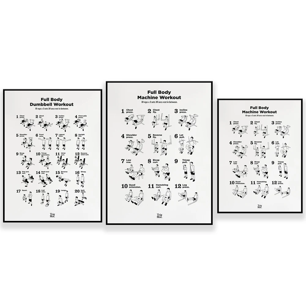 Poster Latihan Dumbbell, Poste - Home Gym York ulasan dan harga